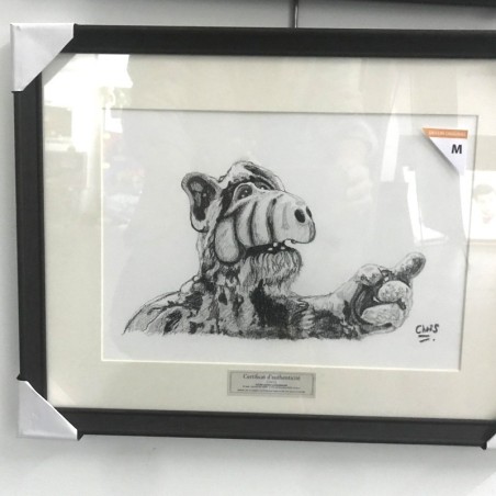 ALF - Dessin ORIGINAL au Fusain  sur papier à  grain encadré. Taille cadre : 33 X 43 cm - Taille dessin : 20 X 29 cm