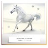 SNOW HORSE - Peinture à l'huile - Taille : 20P (73 x 54)