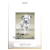 LUCKY - Peinture à l'huile - Taille : 8P : 46 x 33 cm