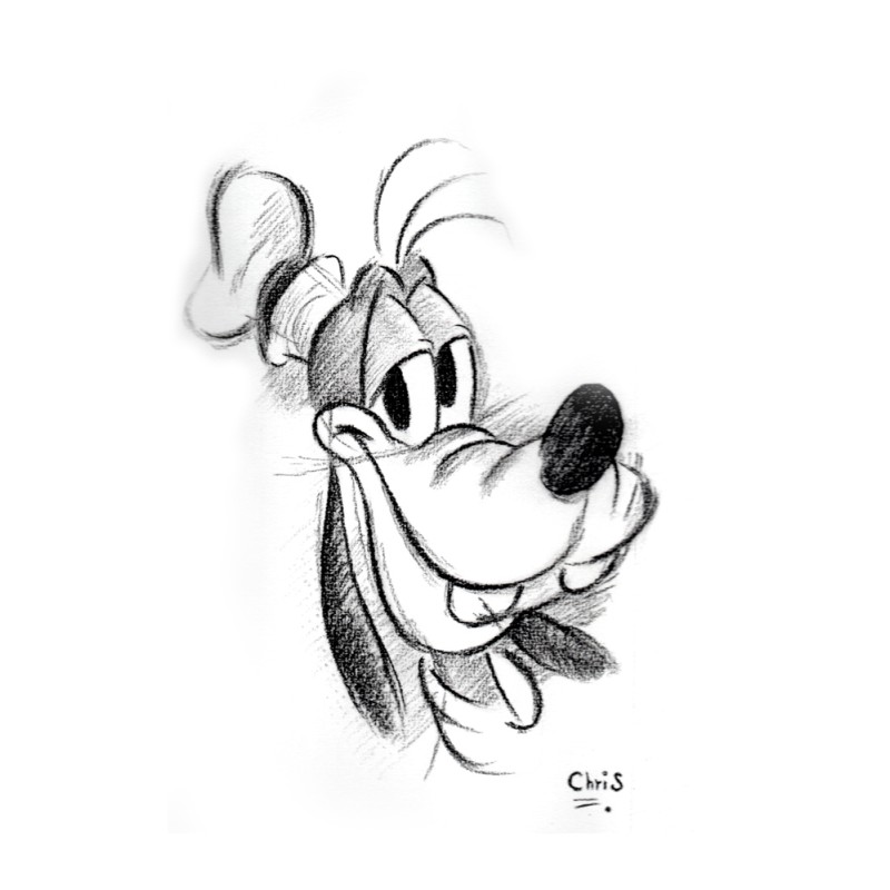 Dingo - Dessin ORIGINAL au Fusain  sur papier à  grain encadré.