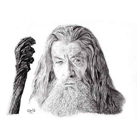 Gandalf - Dessin ORIGINAL au Fusain  sur papier à  grain encadré.
