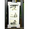 HITCHCOCK - REPRODUCTION de 3 de mes dessins fusain et pastel encadré