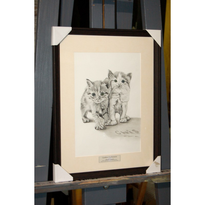 BOULE DE POILS - Dessin A4 au fusain sur feuille à grain.