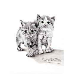 BOULE DE POILS - Dessin A4 au fusain sur feuille à grain.