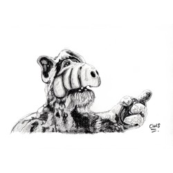 ALF - Dessin ORIGINAL au Fusain  sur papier à  grain encadré. Taille cadre : 33 X 43 cm - Taille dessin : 20 X 29 cm