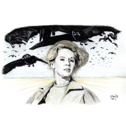 LES OISEAUX - Dessin...