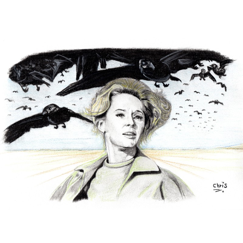 LES OISEAUX - Dessin ORIGINAL au Fusain sur papier à  grain encadré.