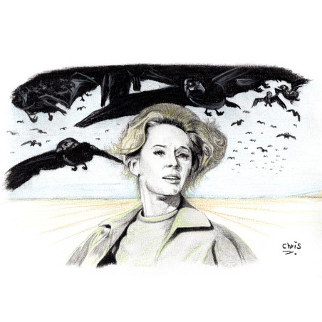 LES OISEAUX - Dessin ORIGINAL au Fusain sur papier à grain encadré.